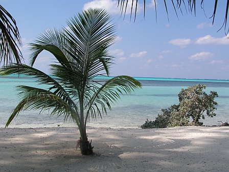 Eastern Caribbean and Bahamas