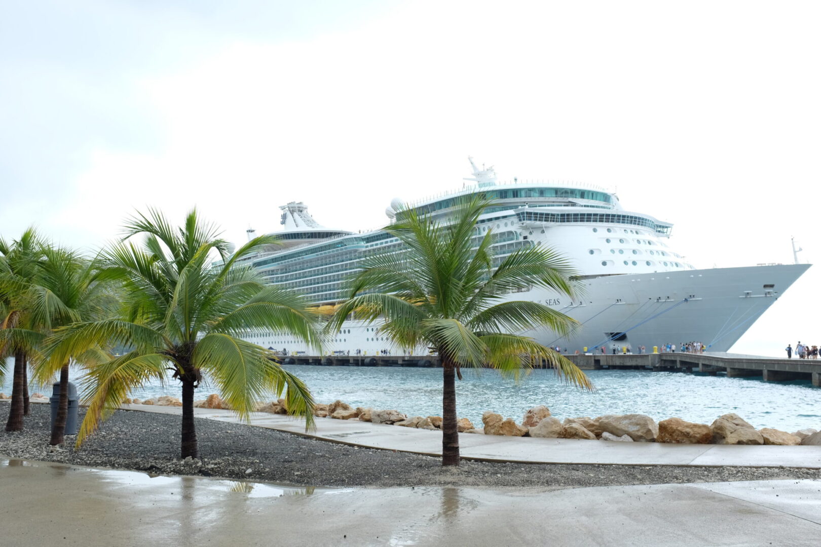 Cruise ship docked near palm trees.